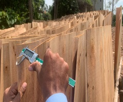 Vifuko quality control inspecting eucalyptus core veneer thickness with digital caliper in Vietnam