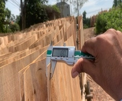 Vifuko quality control inspecting eucalyptus core veneer thickness with digital caliper in Vietnam