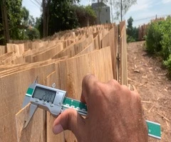 Vifuko quality control inspecting eucalyptus core veneer thickness with digital caliper in Vietnam