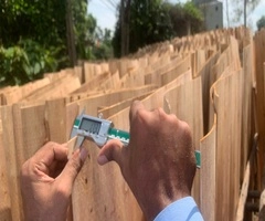 Vifuko quality control inspecting eucalyptus core veneer thickness with digital caliper in Vietnam
